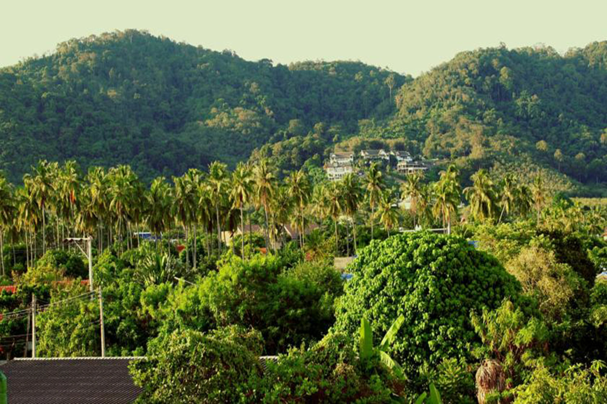 Tropical Sands Nai Harn Екстер'єр фото